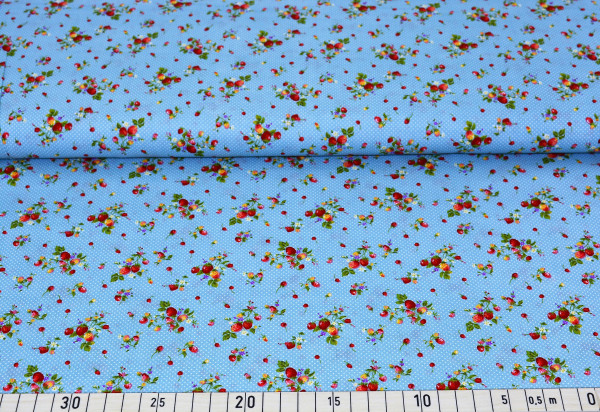 Strawbeery (blau) - Z258