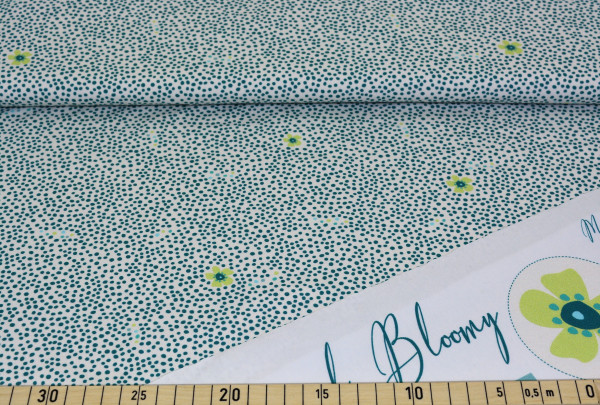 Dotty (Blume) "Blaubeerstern" - H208