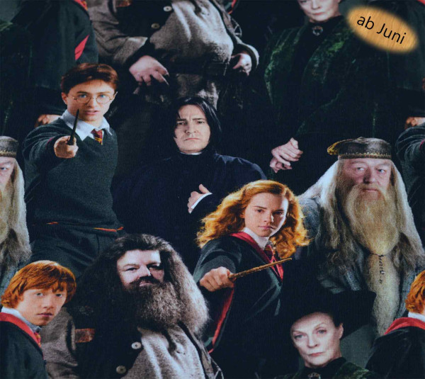 Harry Potter (Cast) - Z1676
