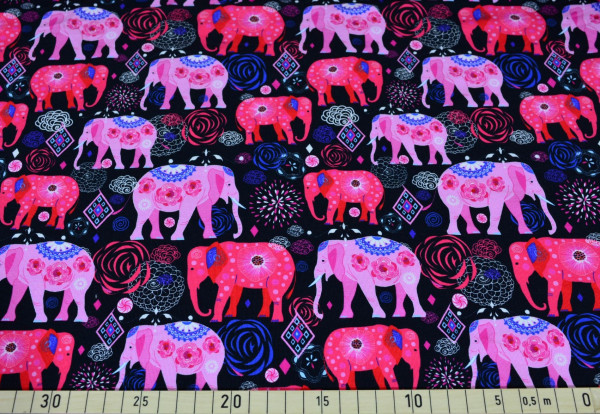 India (Elefant, Afrika, Tiere) - B1729 angeraut