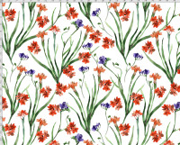 Valeria - B1855 Valeria - B1855