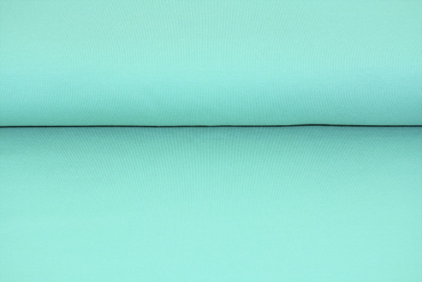 Baumwoll Jersey uni (hell mint) - 1608