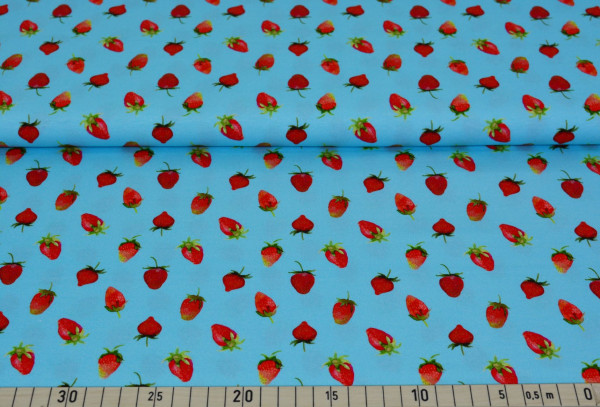 Erdbeeren (mint) - B758