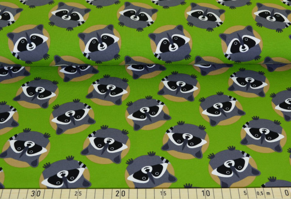 Waschbär (grün) - B339