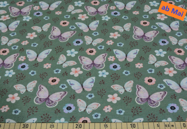 Presilla (dkl.mint) - B1411