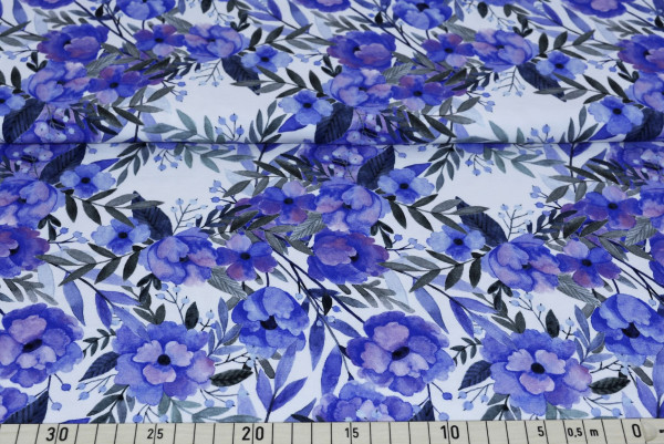 Fuerte (blau) - B1282