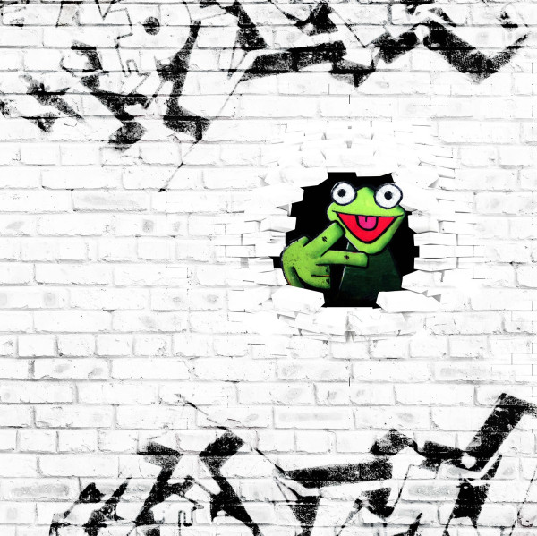 Glünz GmbH, Baumwoll Jersey, Raila B2021, weiß, mauer, wall, brich, ziegel, frog, frosch, graffiti 