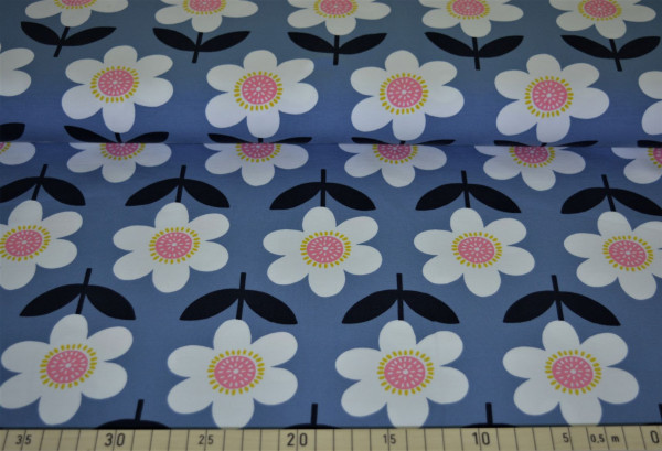 Floris (blau) - I348 (Softshell)