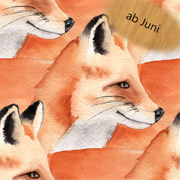 Fuchsprint-Sweatshirt-Stoff: Orange mit lebendigen Fuchsköpfen 