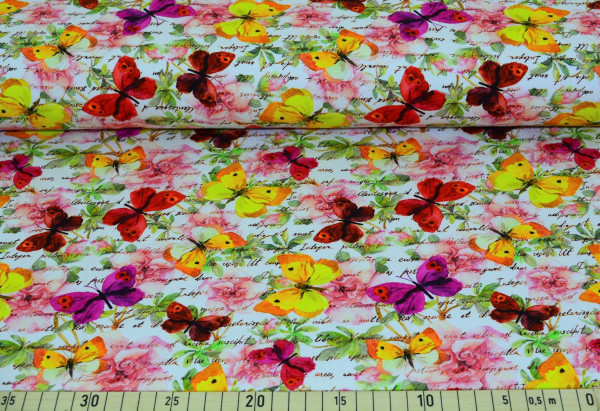 Schmetterlingsflügel (creme) - B1392