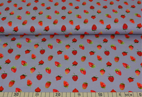 Erdbeeren (grau) - B757
