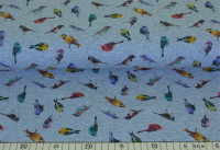 Vögelchen - B666 Vögelchen - B666