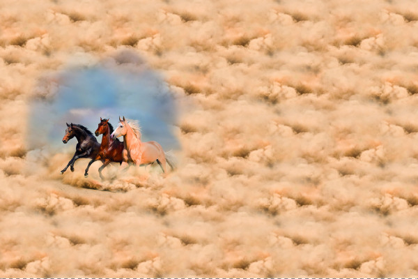 Glünz GmbH, Baumwoll Jersey, Raila B2025, beige, panel, Wolken, Himmel, cloud, heaven, horse, horses, pferd, galopp