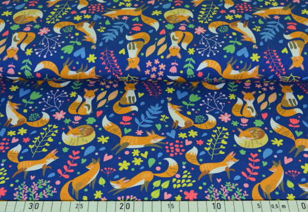 Frecher Fuchs (marine) - A452