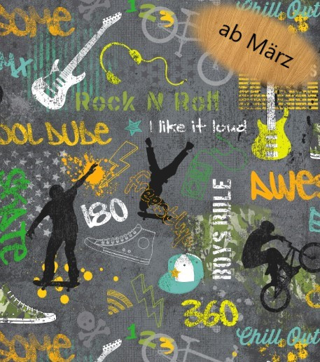 Glünz Gmbh; Softshell, A691, grau, skater, bmx, biker, graffiti, rock'n roll, gitarre