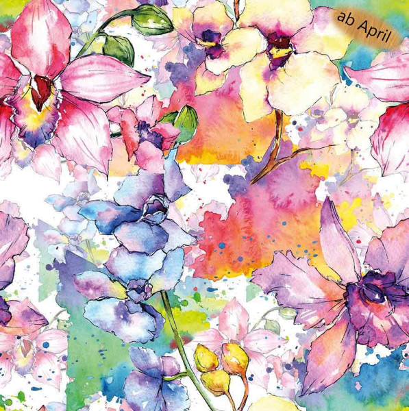 Amanda (Jersey Orchideen Aquarell) - B2255