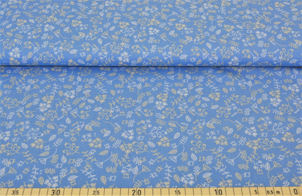 Rom (blau 12) - B1449