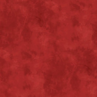 Bodo - B1869 Bodo - B1869