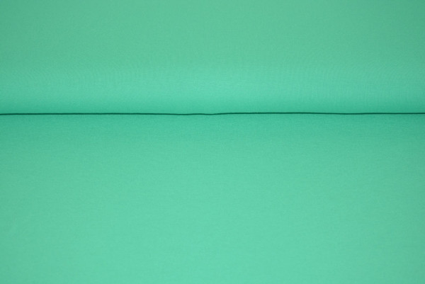 Viscose Jersey uni (mint) - 3611