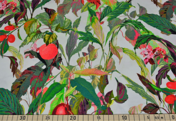 Summer feeling (Frucht) - Z391