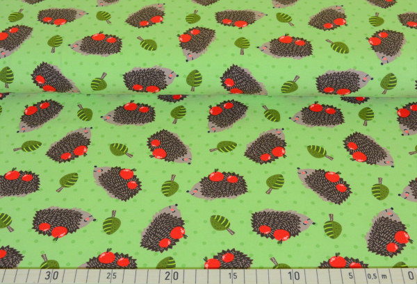 Igel + Apfel (kiwi) - A275