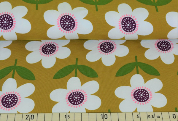 Floris (senf) - I349 (Softshell)
