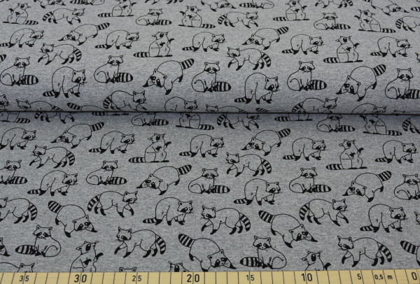 Racoon (grau) - Z420