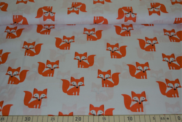 Fuchs (weiß) - B504