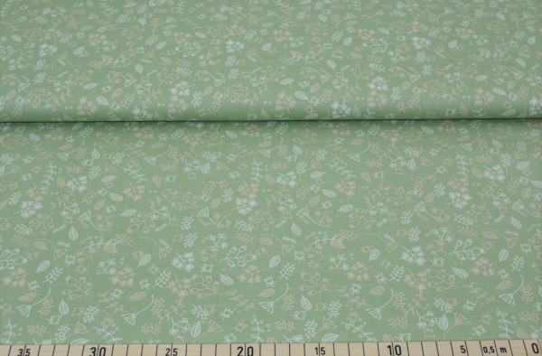 Rom (mint 33) - B1437
